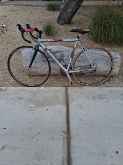 Trek 1000 road bicycle