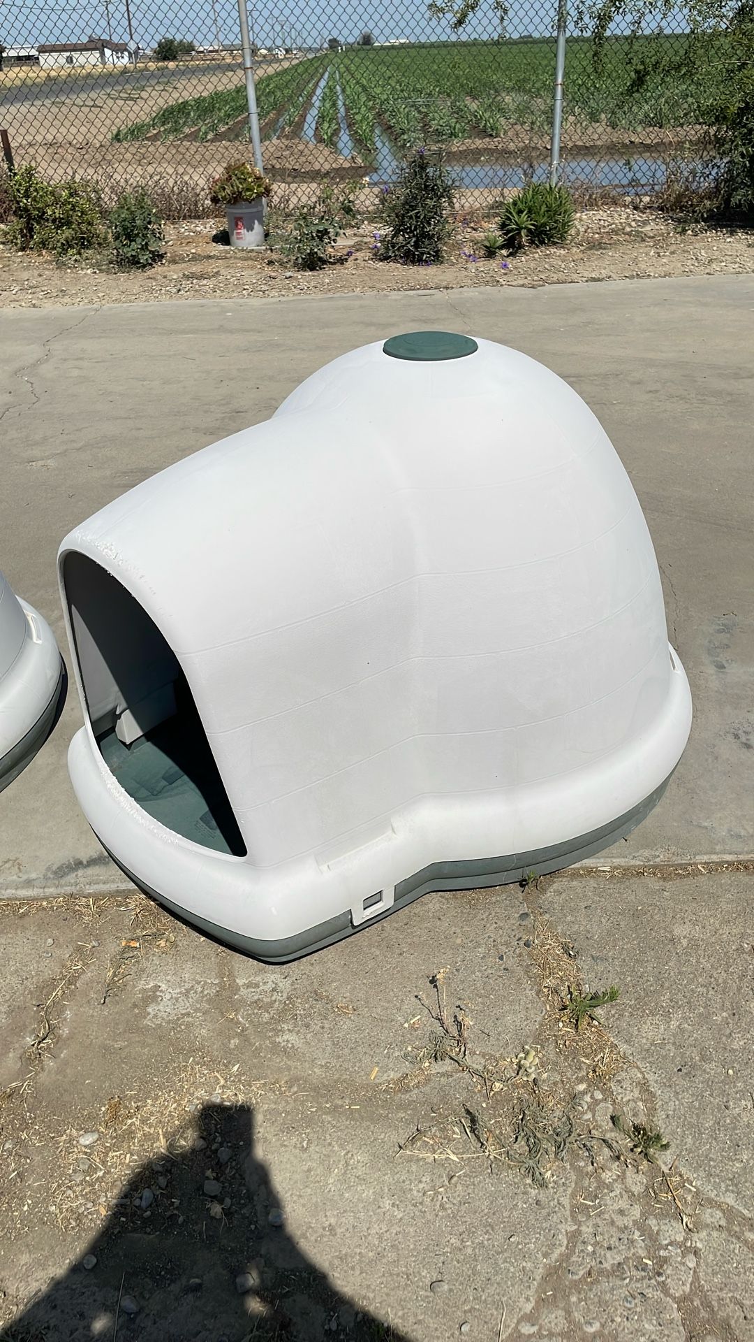 Dog House