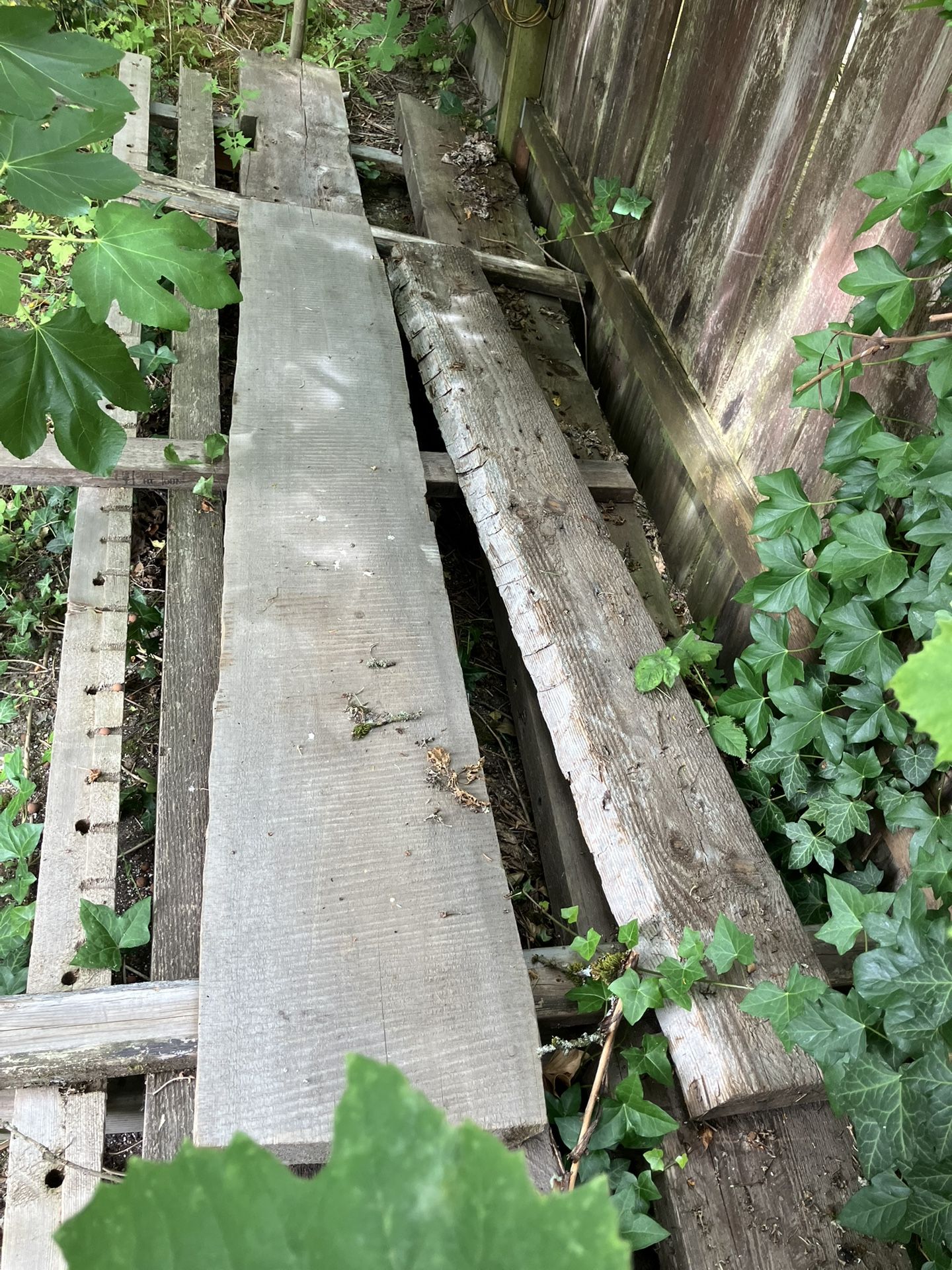 Cedar Beam Remnants From Elliot Bay Bookstore