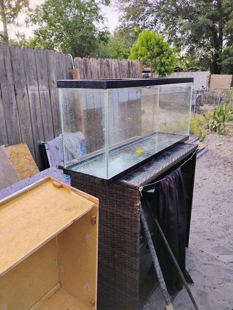 Fish Tank