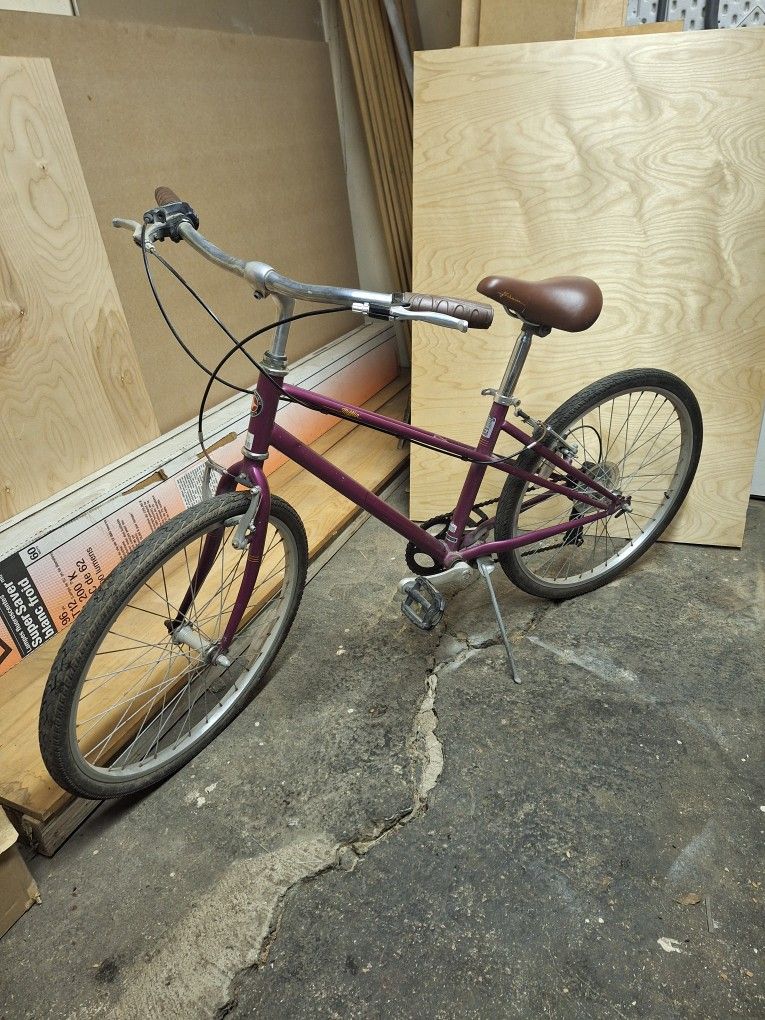 24 Inch Schwinn Mifflin Girls Hybrid Bike