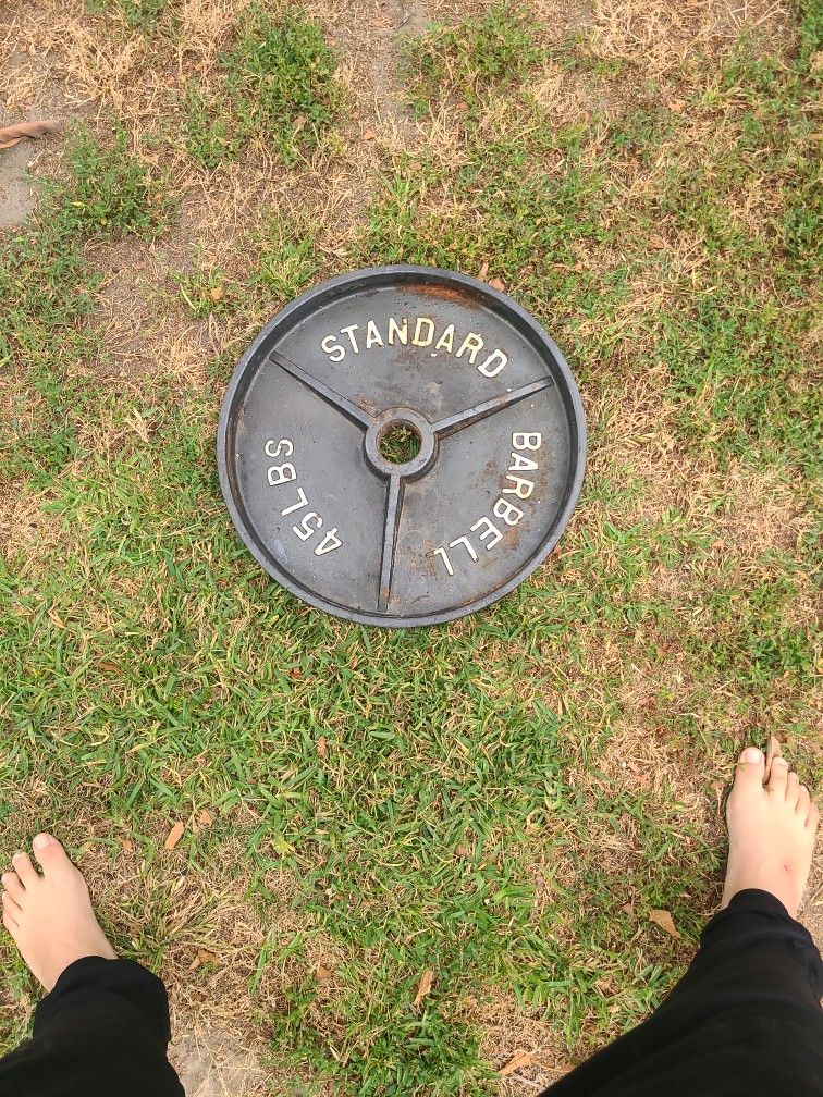 45 Pound Barbell Wejghts