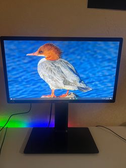 1080 75hz monitor