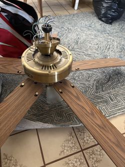 Fan