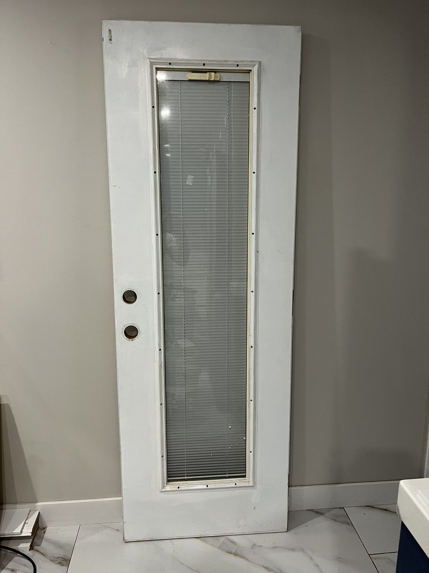 Steel Door With Blinds Between The Glass