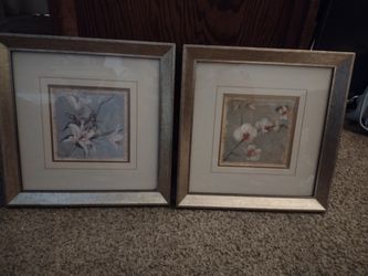 Framed Floral Pictures