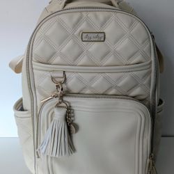 Itzy Ritzy Boss Plus Backpack Diaper Bag