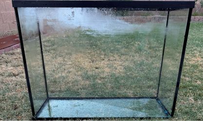 37 Gallon fish tank and accessories