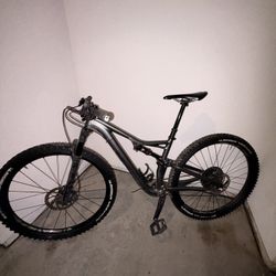 Specialized Stumpjumper Alloy 29 