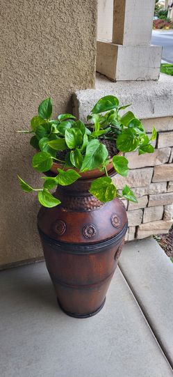 🌿 Pothos Plant + 28" Brown Steel Floor Vase Bundle — Corner Decor Set 🏡