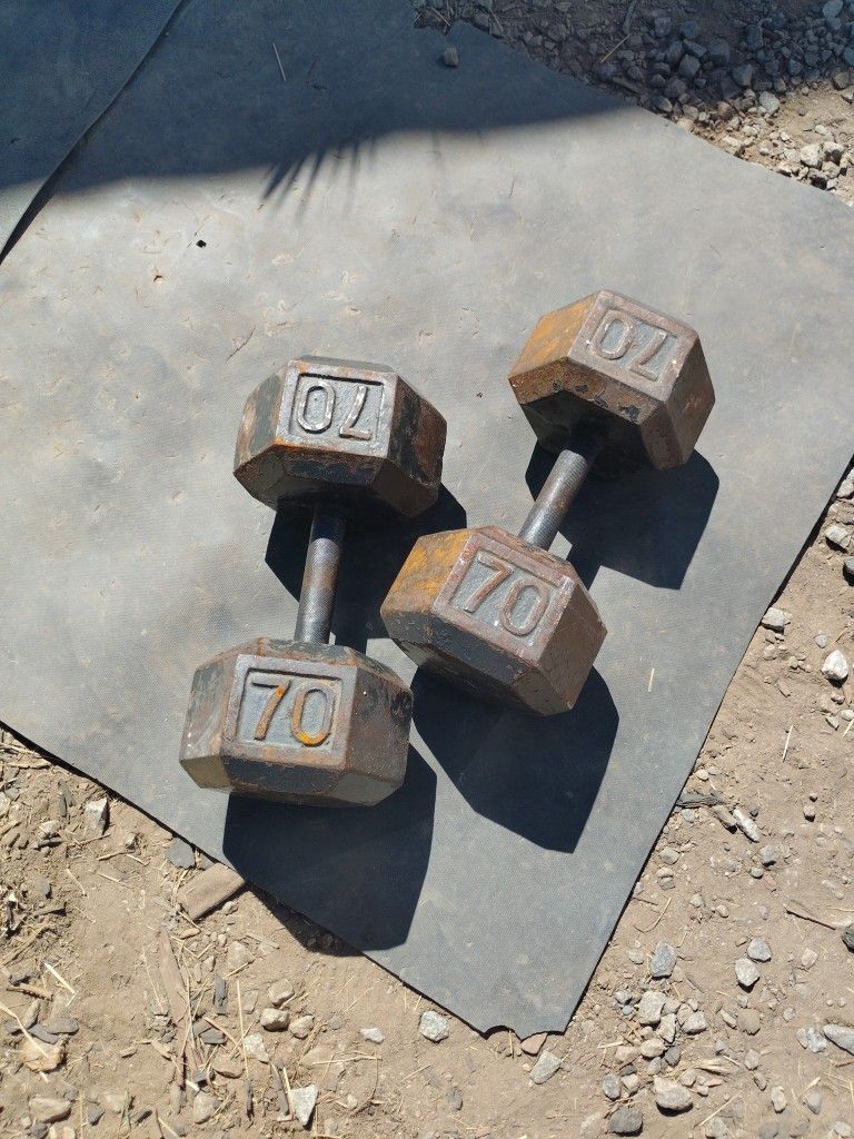 70lb Hex Dumbbells 