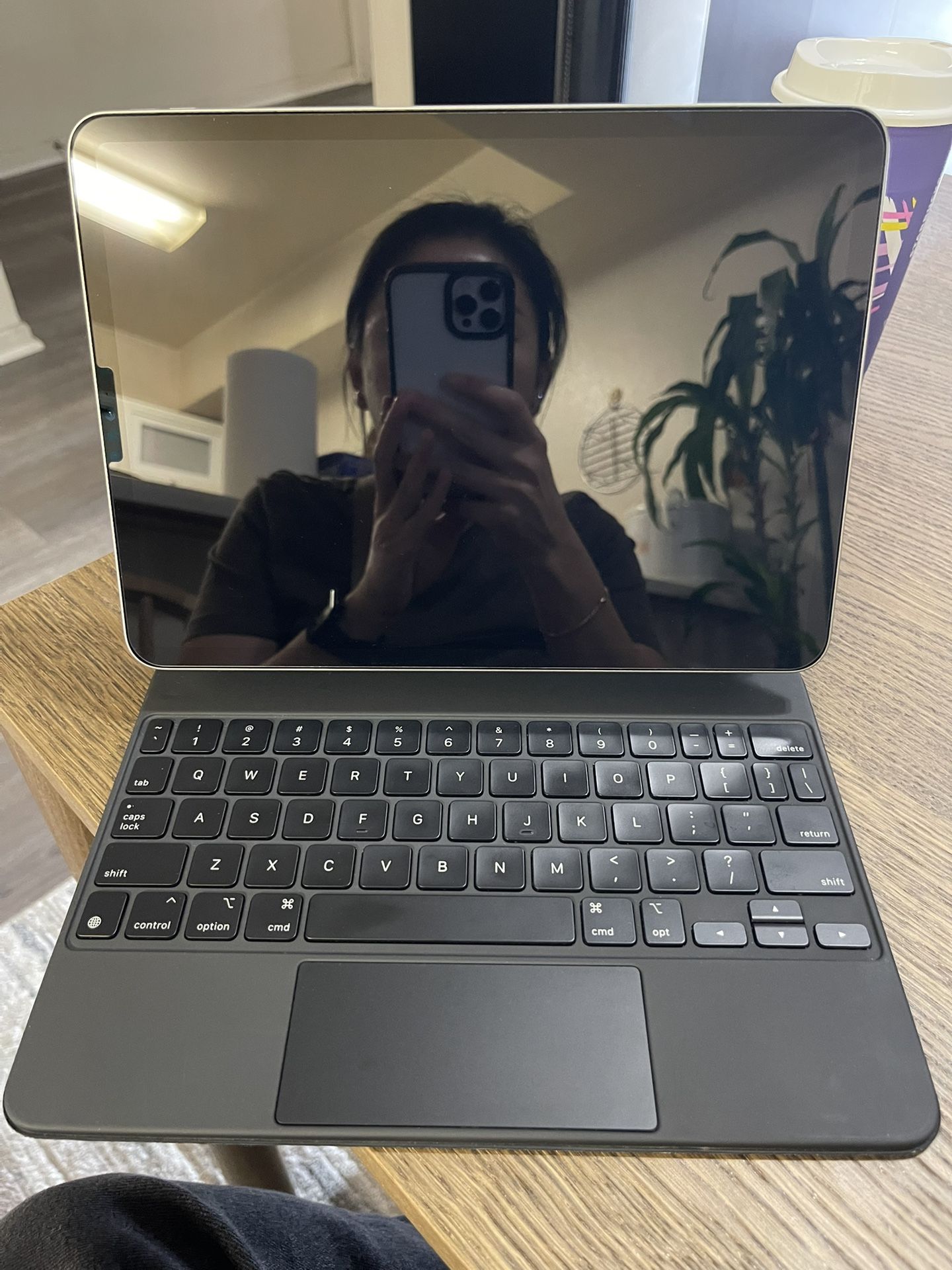 iPad Pro 11 inch (4th Generation) 256GB + Magic Keyboard + Free Unused Screen Protector