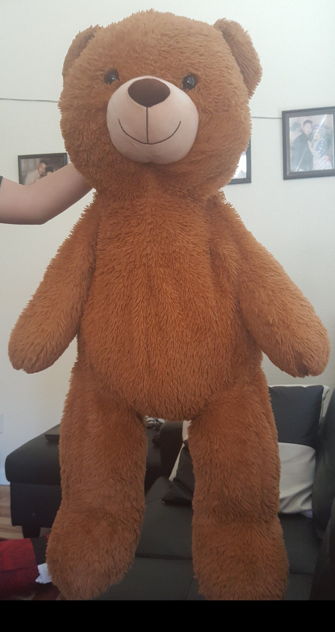 Big teddy bear