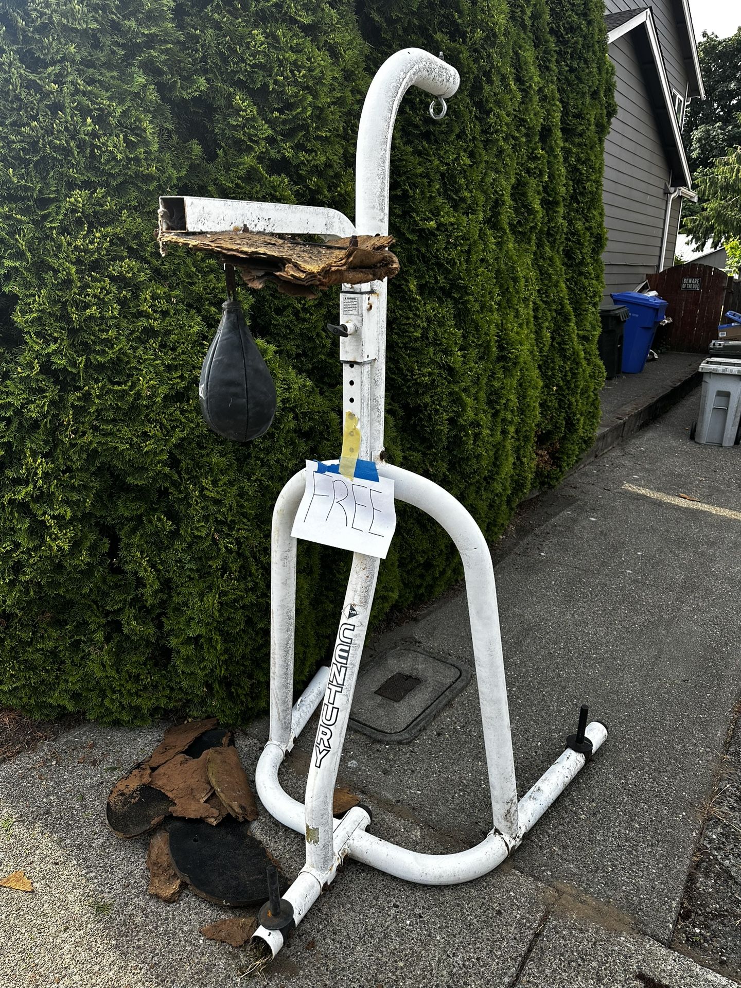 FREE Boxing Speed Bag