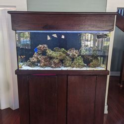 Saltwater Aquarium Full Set Up 120 Gallons 