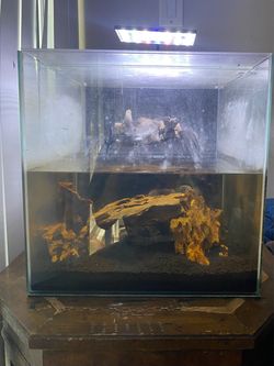 14 Gallon Cube Fish Tank