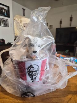 Supergirl Krypto collectible popcorn bucket
