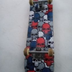 Skate Board 