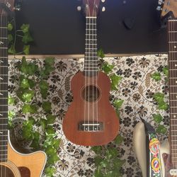 Ukulele 