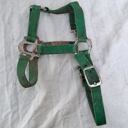 Supreme double-adjustable nylon horse halter in grass-green color