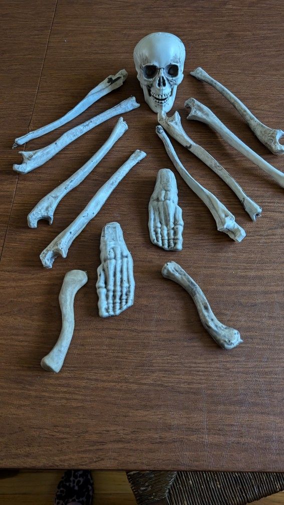 Plastic Bones