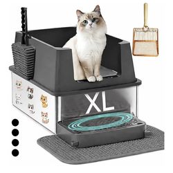 XL cat litter box