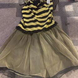 Dolly me Bee costume  6x 
