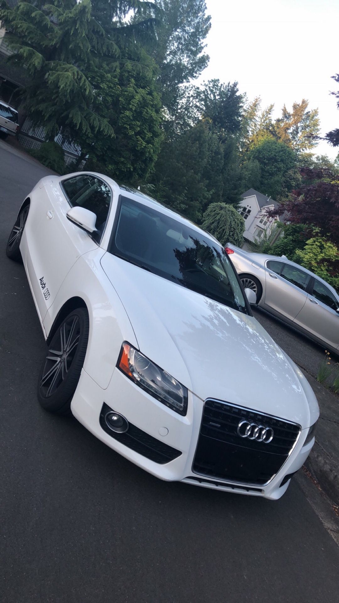 2009 Audi A5