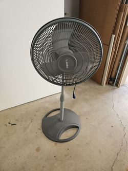 Fan