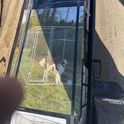 Dog Kennel