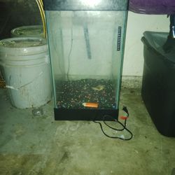 Fish Tank 10 Gallon With light 