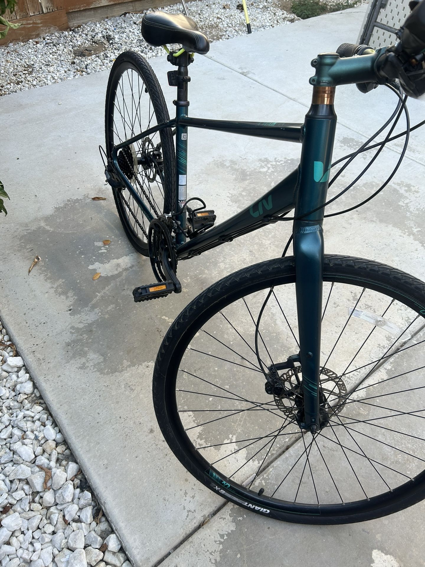 Bicicleta Giant Alight Liv