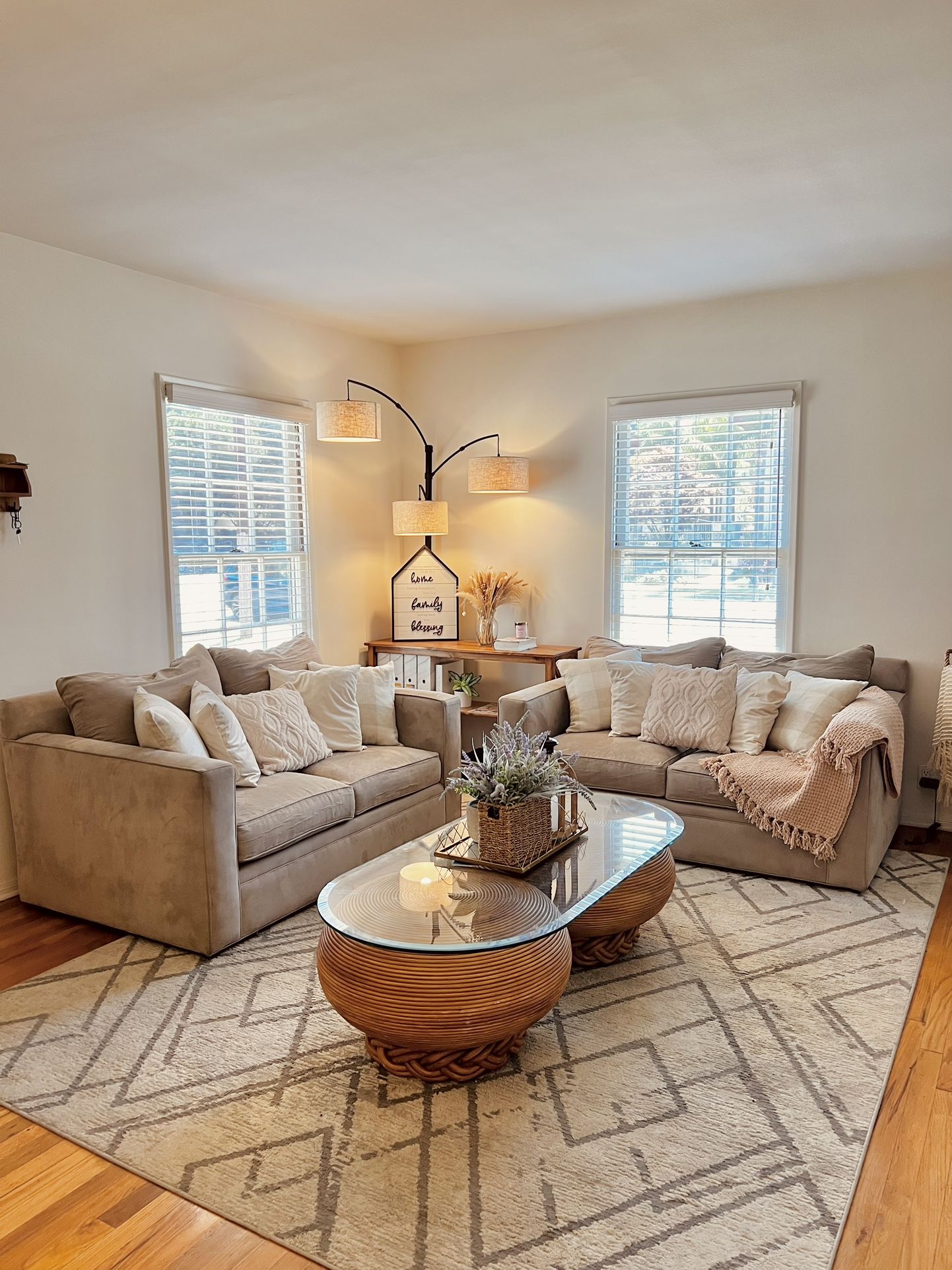 Premium Sofa ( Goose Feathers)