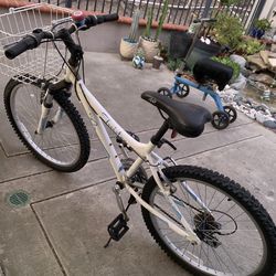 Schwinn Twister Bike