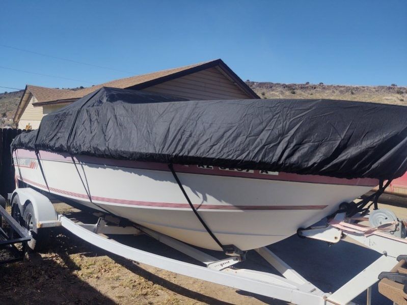 1989 Sunbird Omc Cobra 5.0