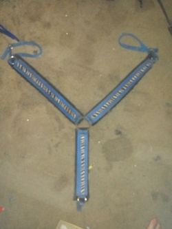 Blue and zebra breast collar and headstall tack set