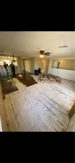 Hard wood / tile