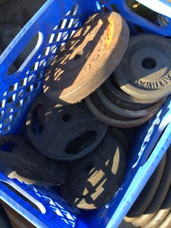 All weights $1.5/lb I have 10lb and 5lb