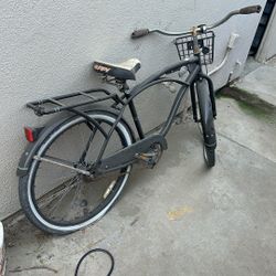 Beach Cruiser