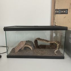 large reptile tank 