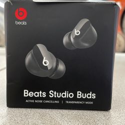 Headphone Beats 