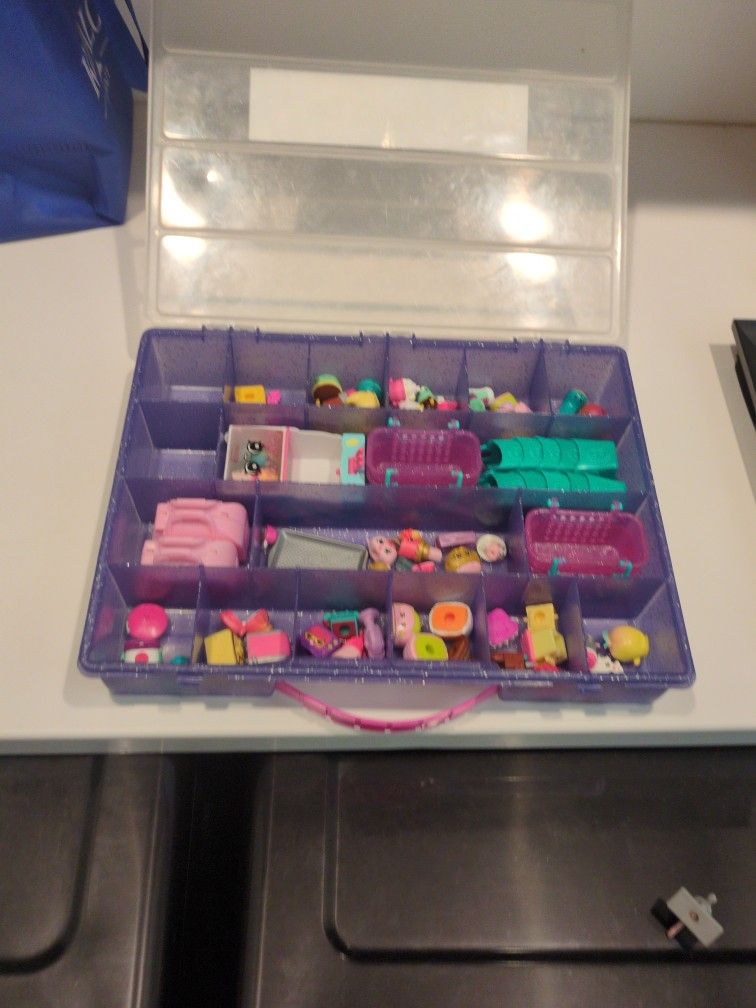 Shopkins And Case!