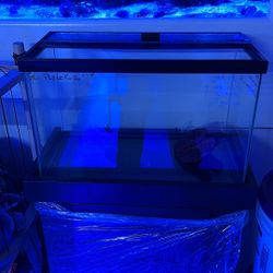 10 Gallon Aquarium With Stand And Lid 