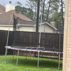 14ft purple trampoline with net and ladder