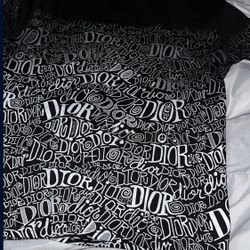 Dior T Shirt 