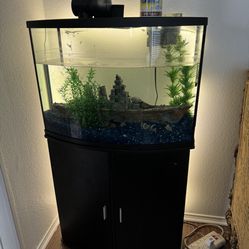 Fish Tank And Aquarium 