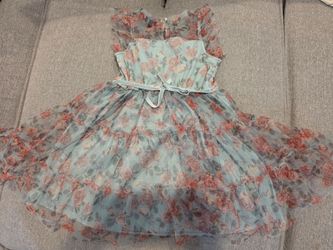 Little Girl fancy dresses - size 5 & 6