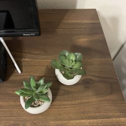 Fake Mini Succulents