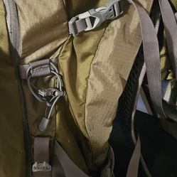 Gregory Z65 back pack