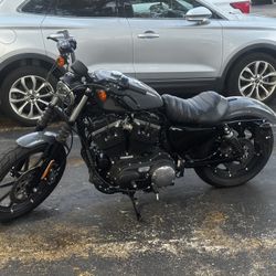 2022 Harley Davidson Iron 883